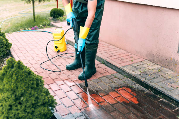 Best Animal Enclosure Cleaning  in Barrington, NJ